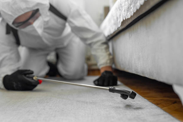 Professional Cockroach Control technician working in Suffolk County County, MA